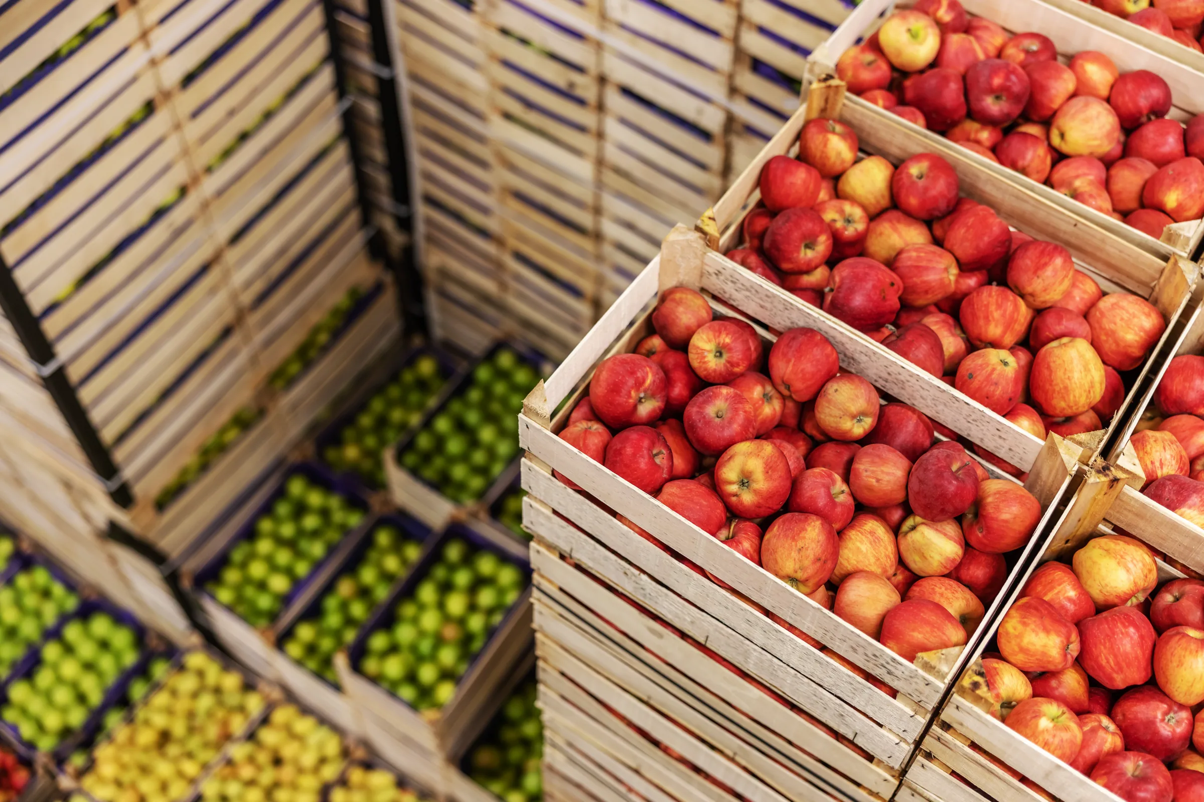 Cajas de fruta preparadas para expedición en almacén frigorífico