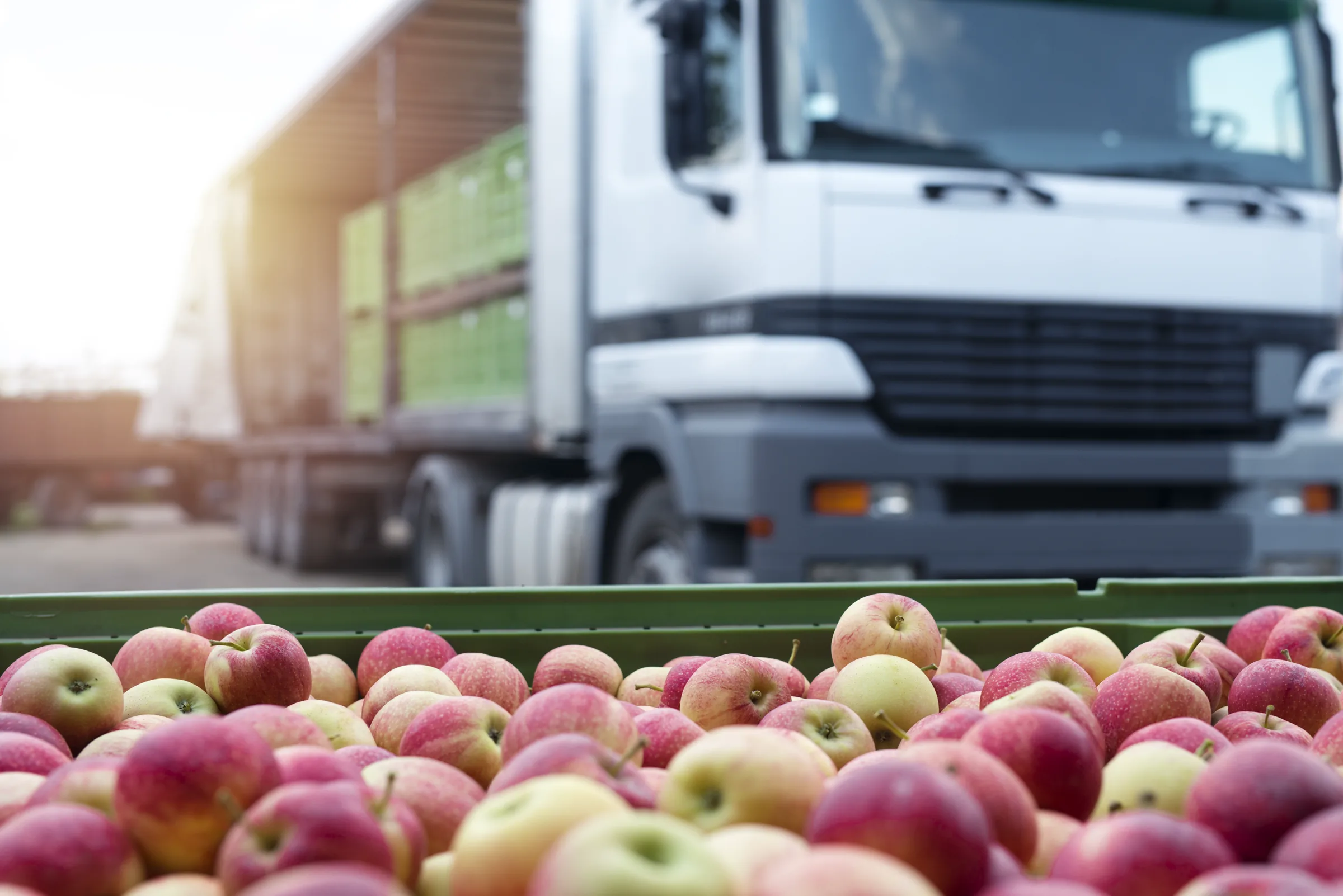 Camión cargado con frutas listas para exportación europea - Verde Levante mayorista hortofrutícola