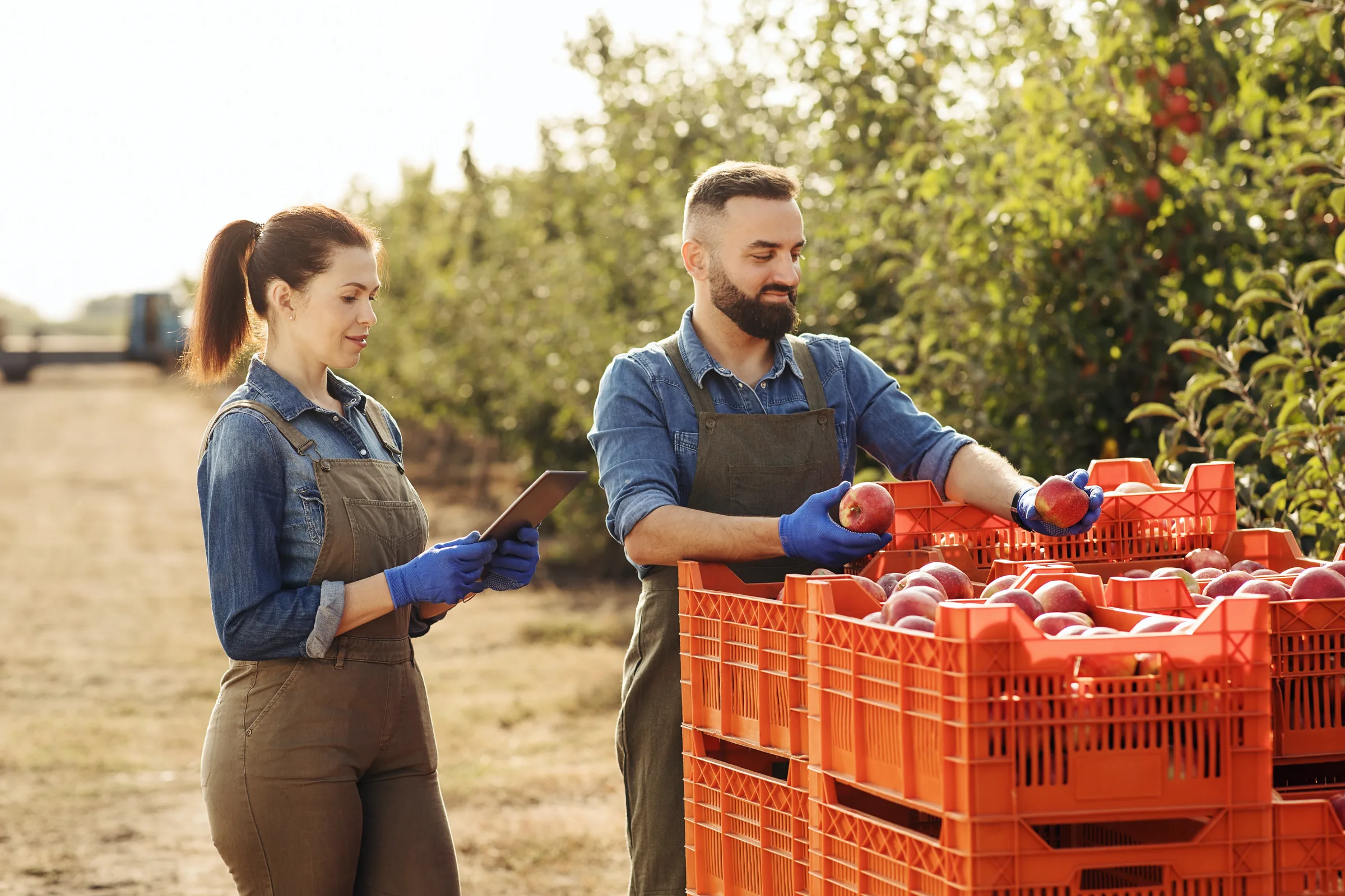 Equipo de Verde Levante supervisando cajas de fruta fresca