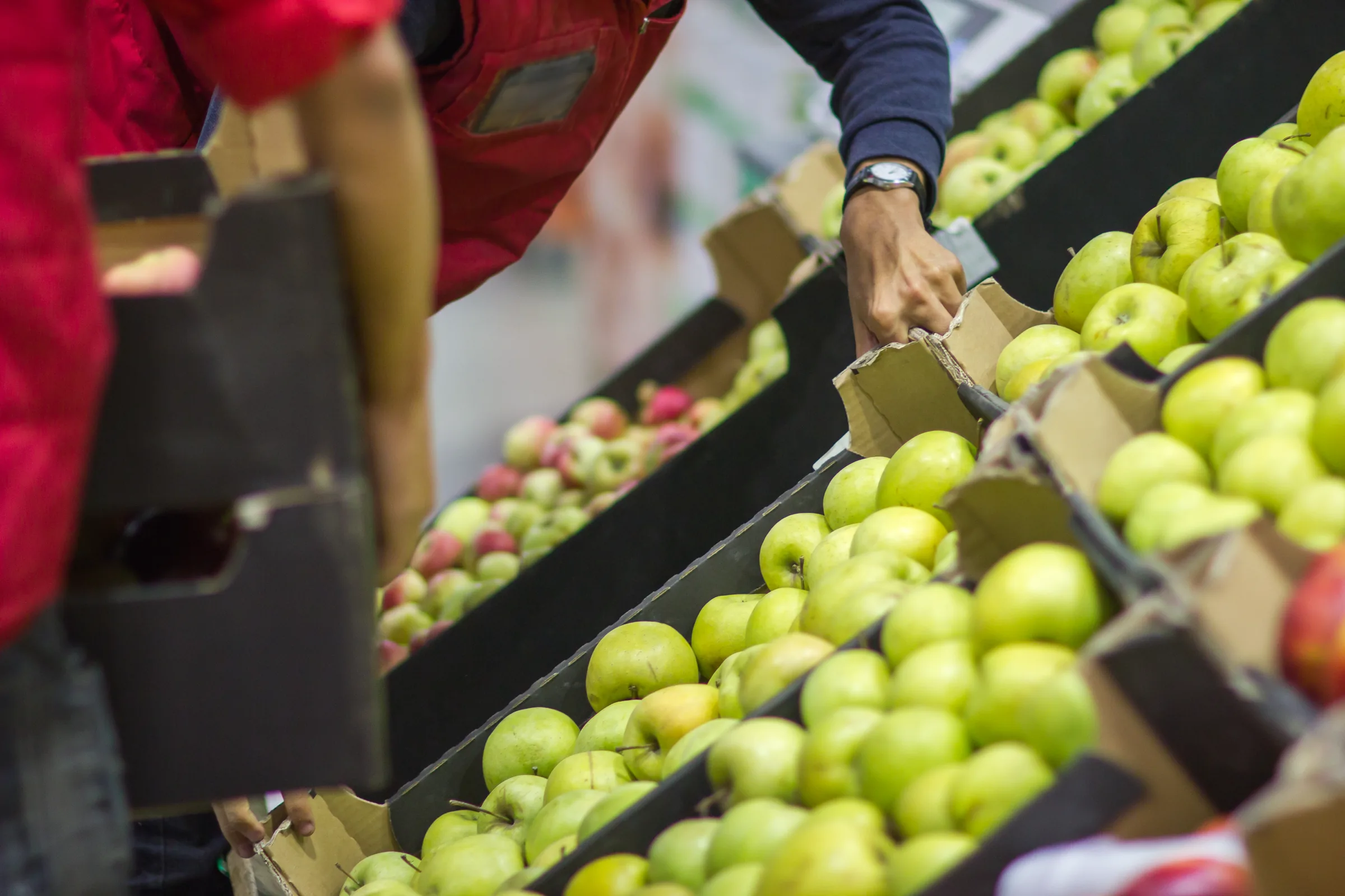 Preparación de cajas de producto fresco para distribución