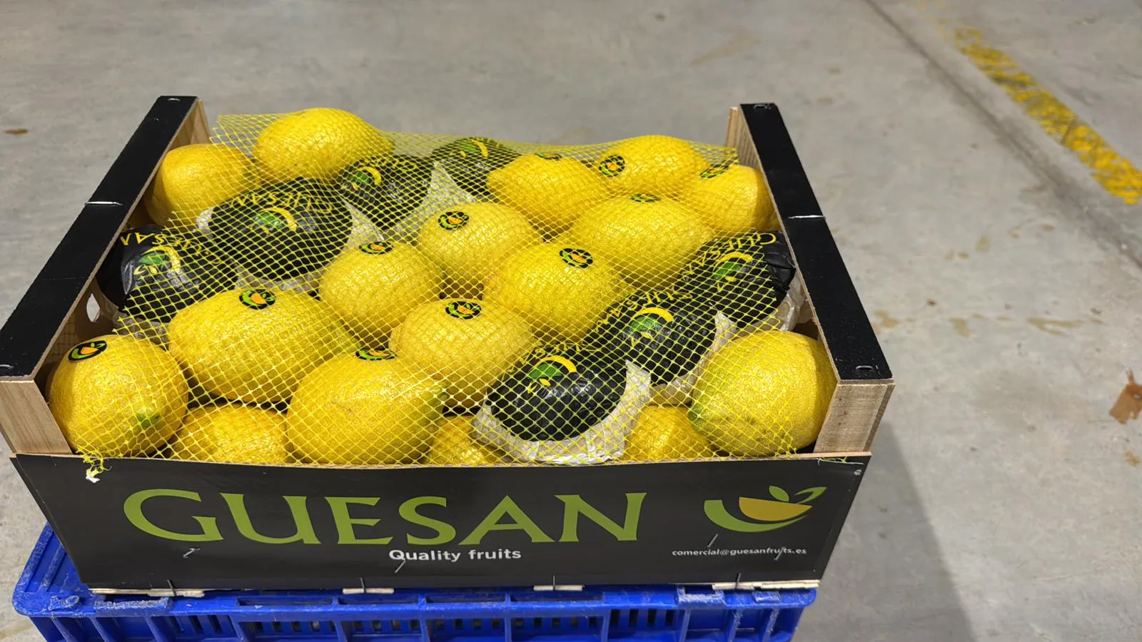 Limones frescos con protección de malla en caja