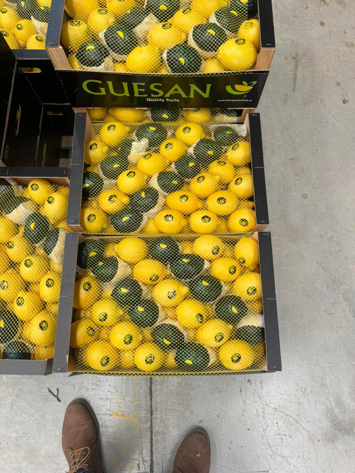 Limones frescos agrupados con malla en caja