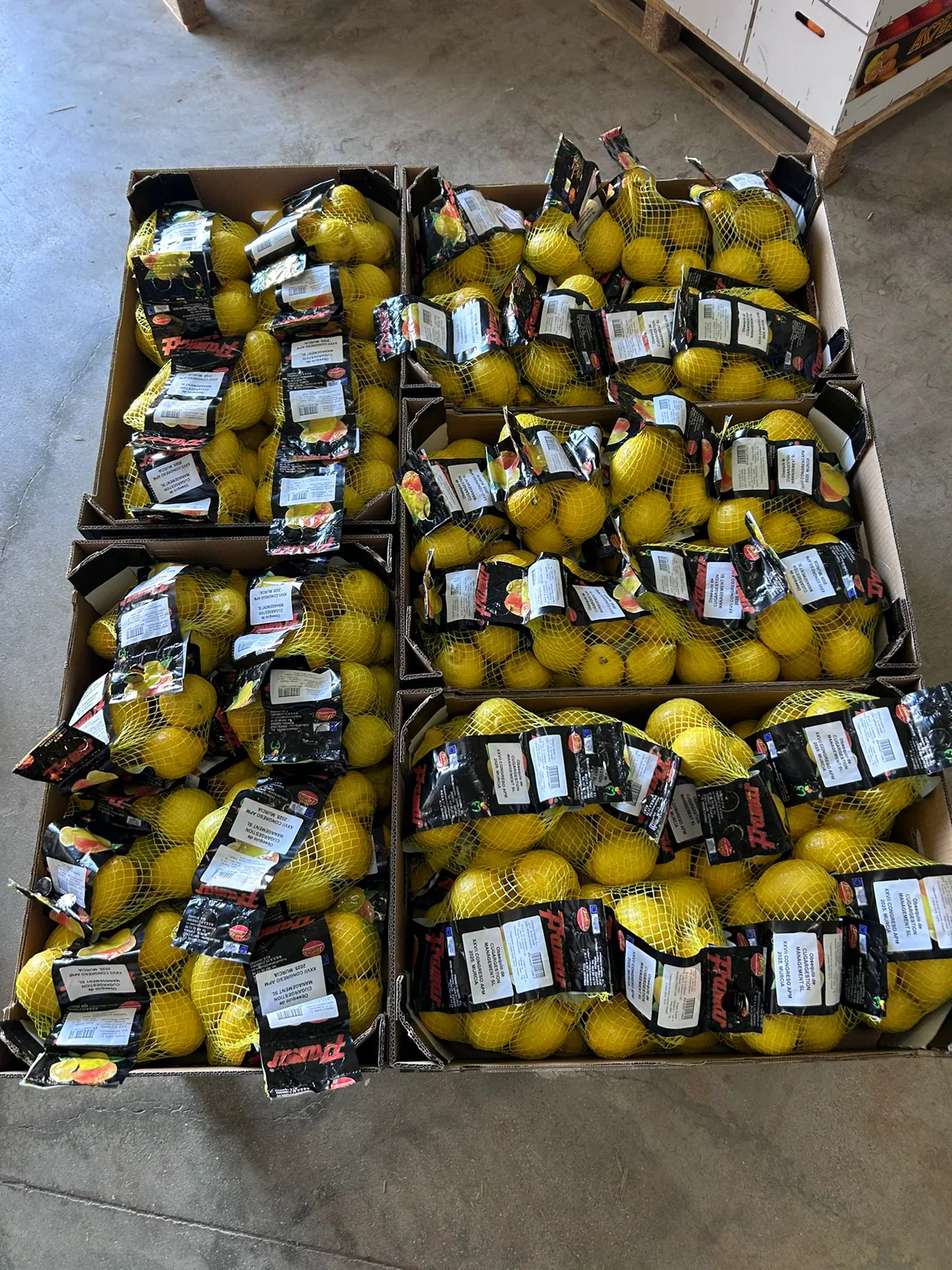 Cajas de limones frescos apiladas sobre palé