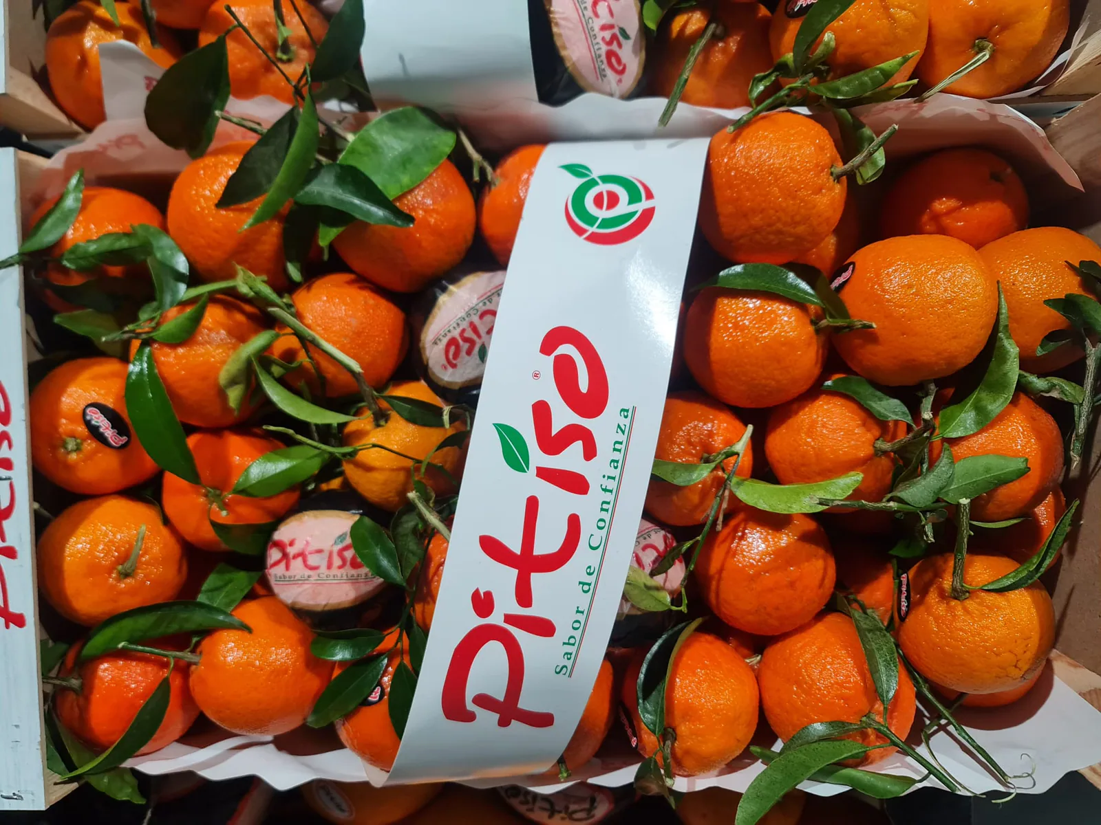 Mandarinas frescas con hojas en caja de presentación