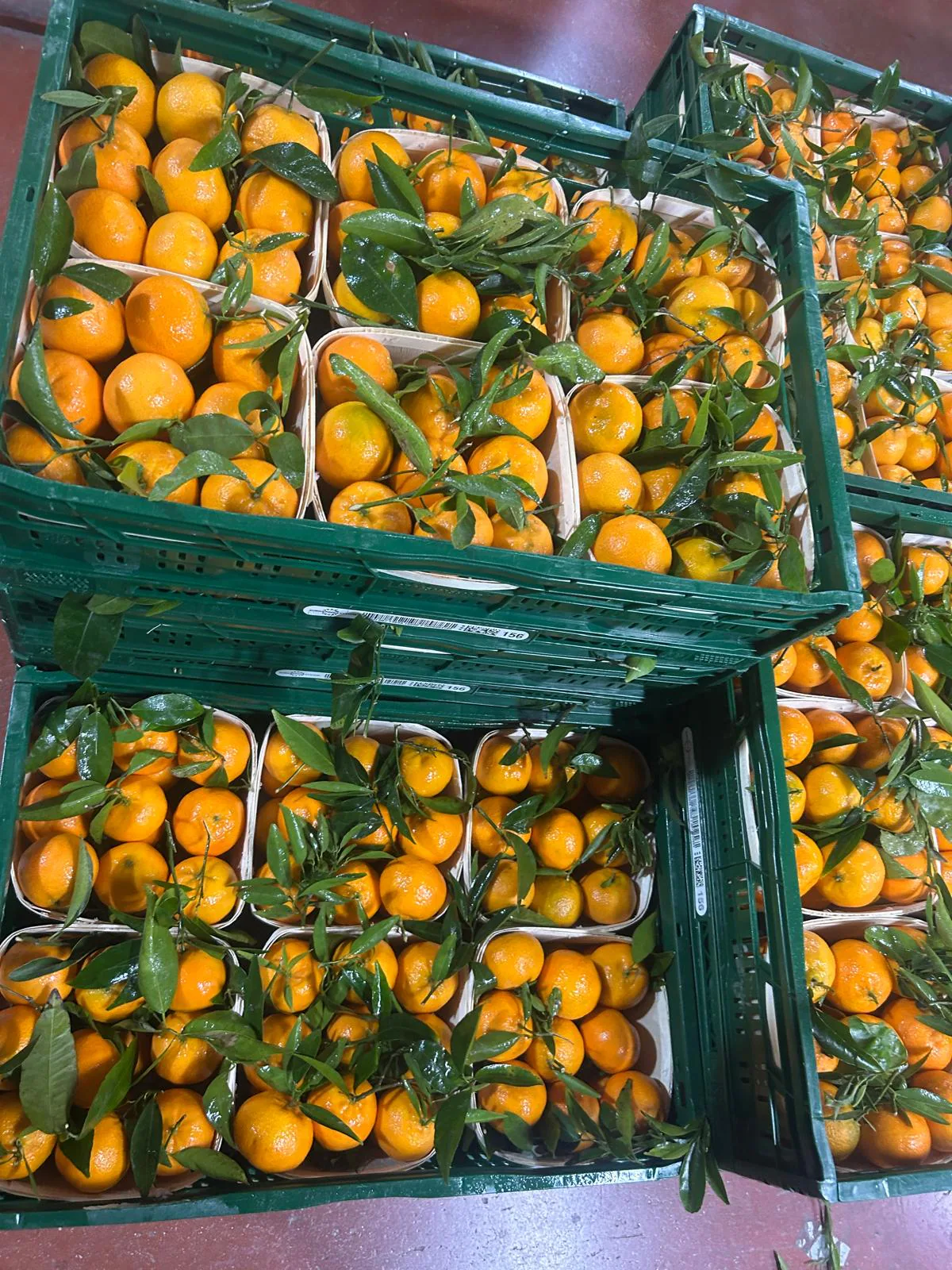 Mandarinas frescas con hojas preparadas en caja