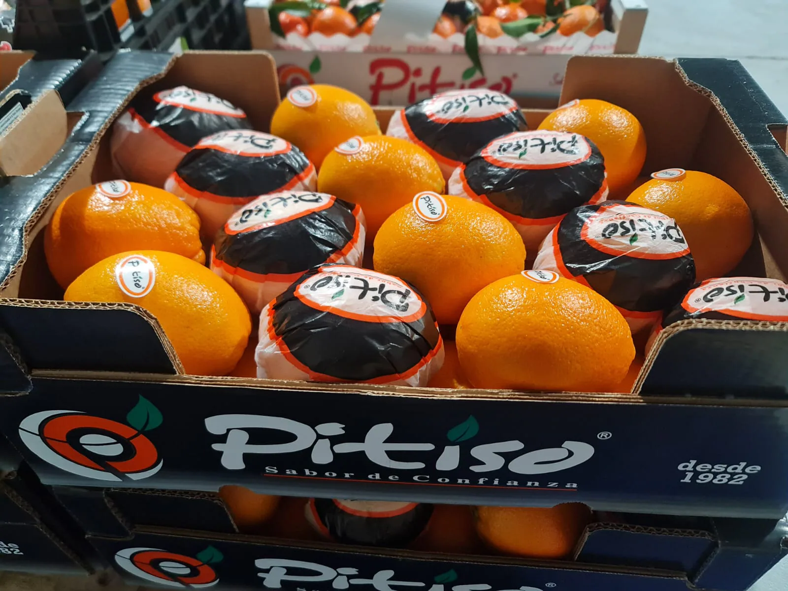 Naranjas frescas con envoltorio individual en cajas