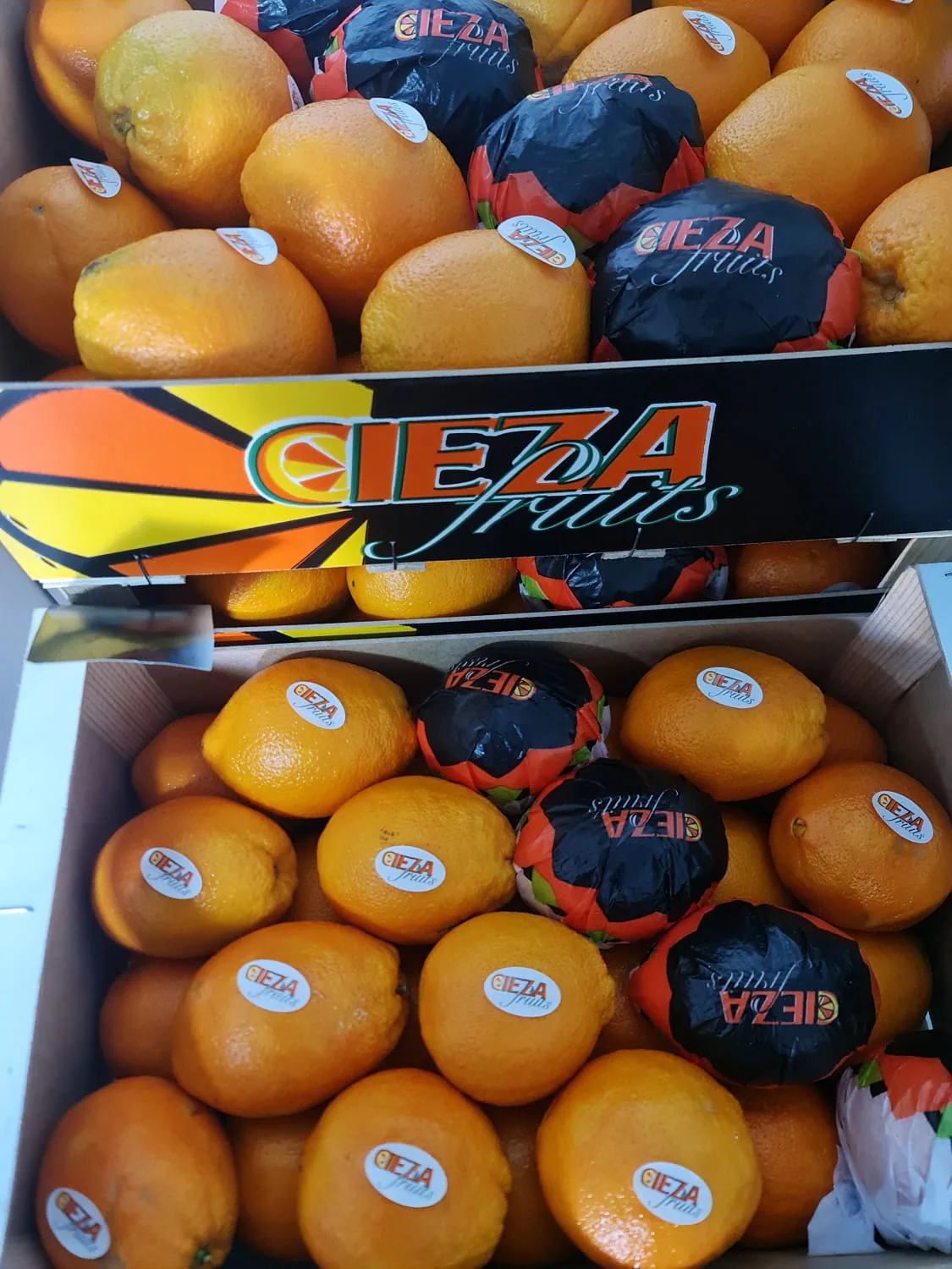 Naranjas frescas presentadas en cajas de madera