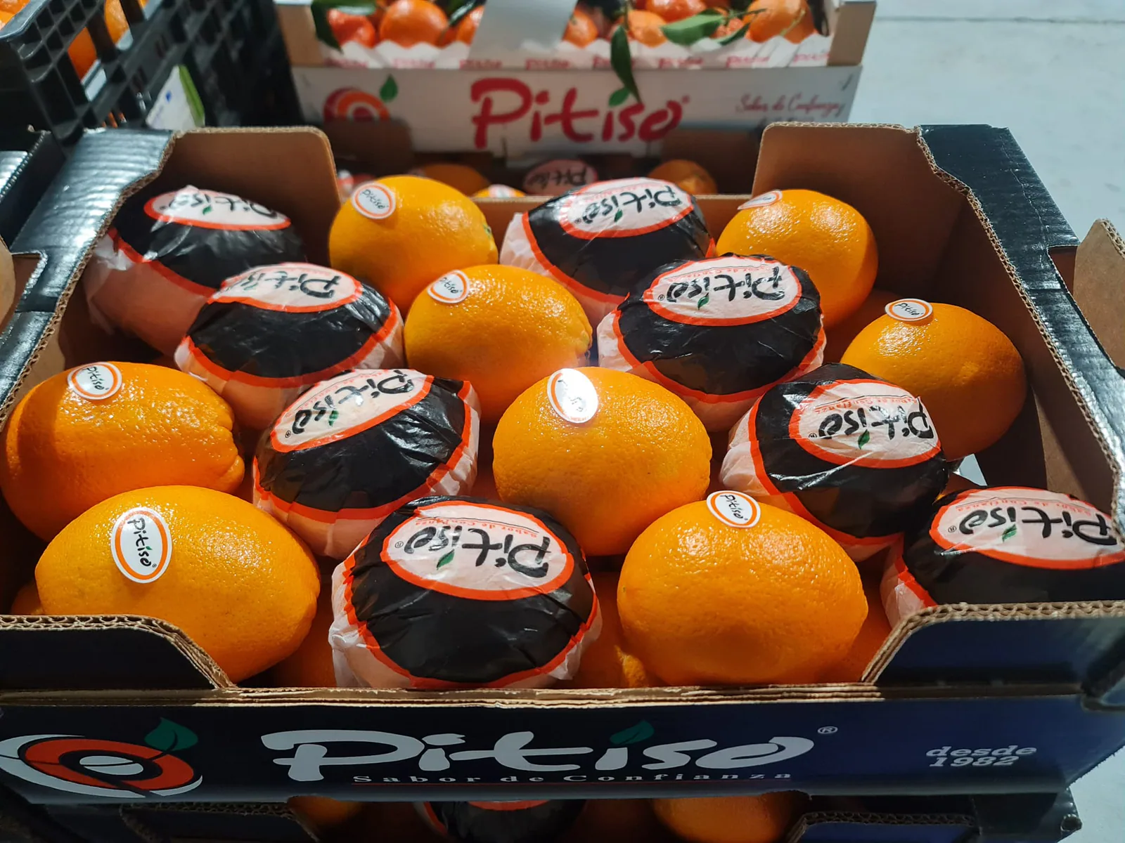 Naranjas frescas seleccionadas en caja de cartón