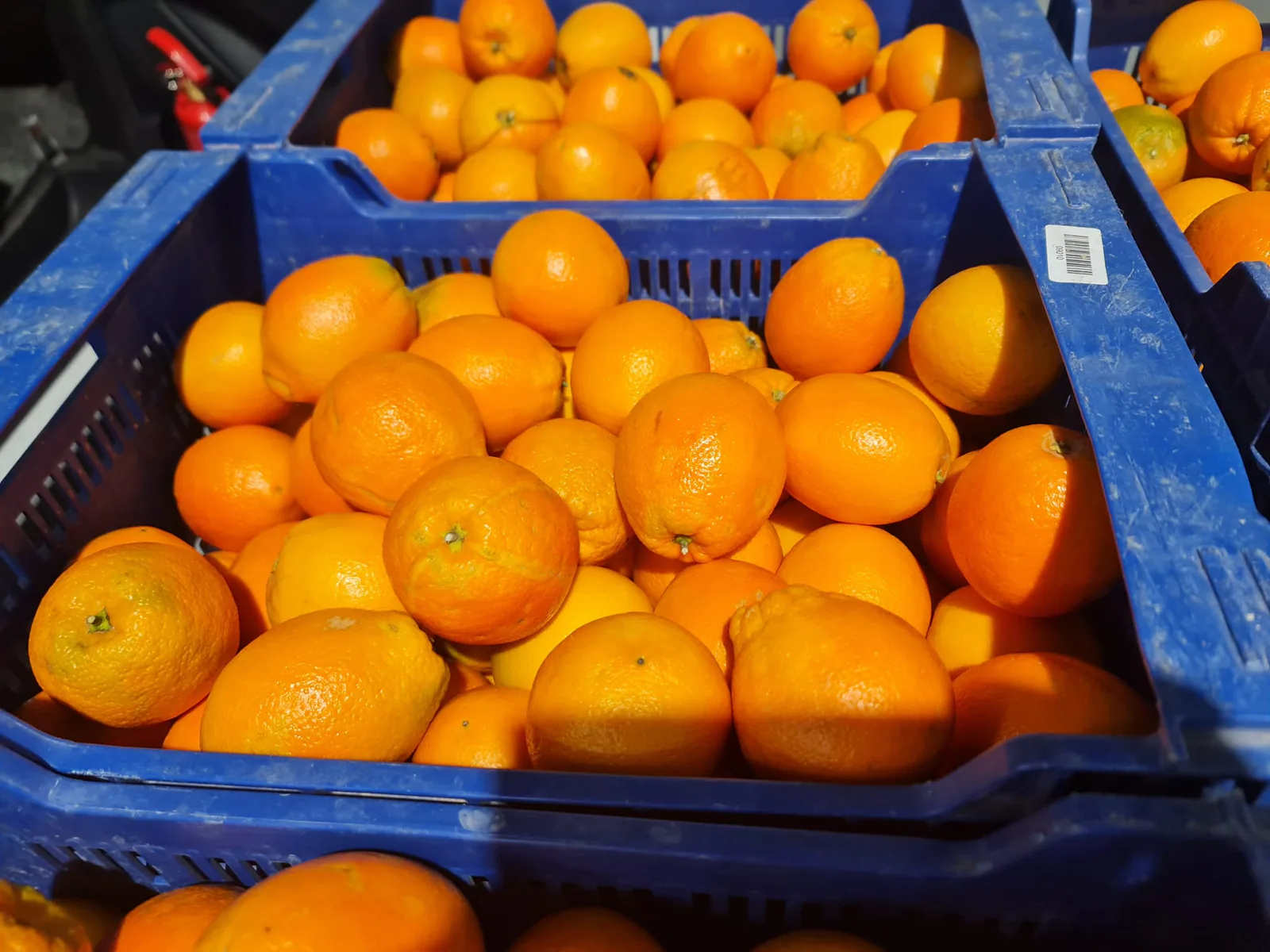 Naranjas frescas a granel en cajas azules