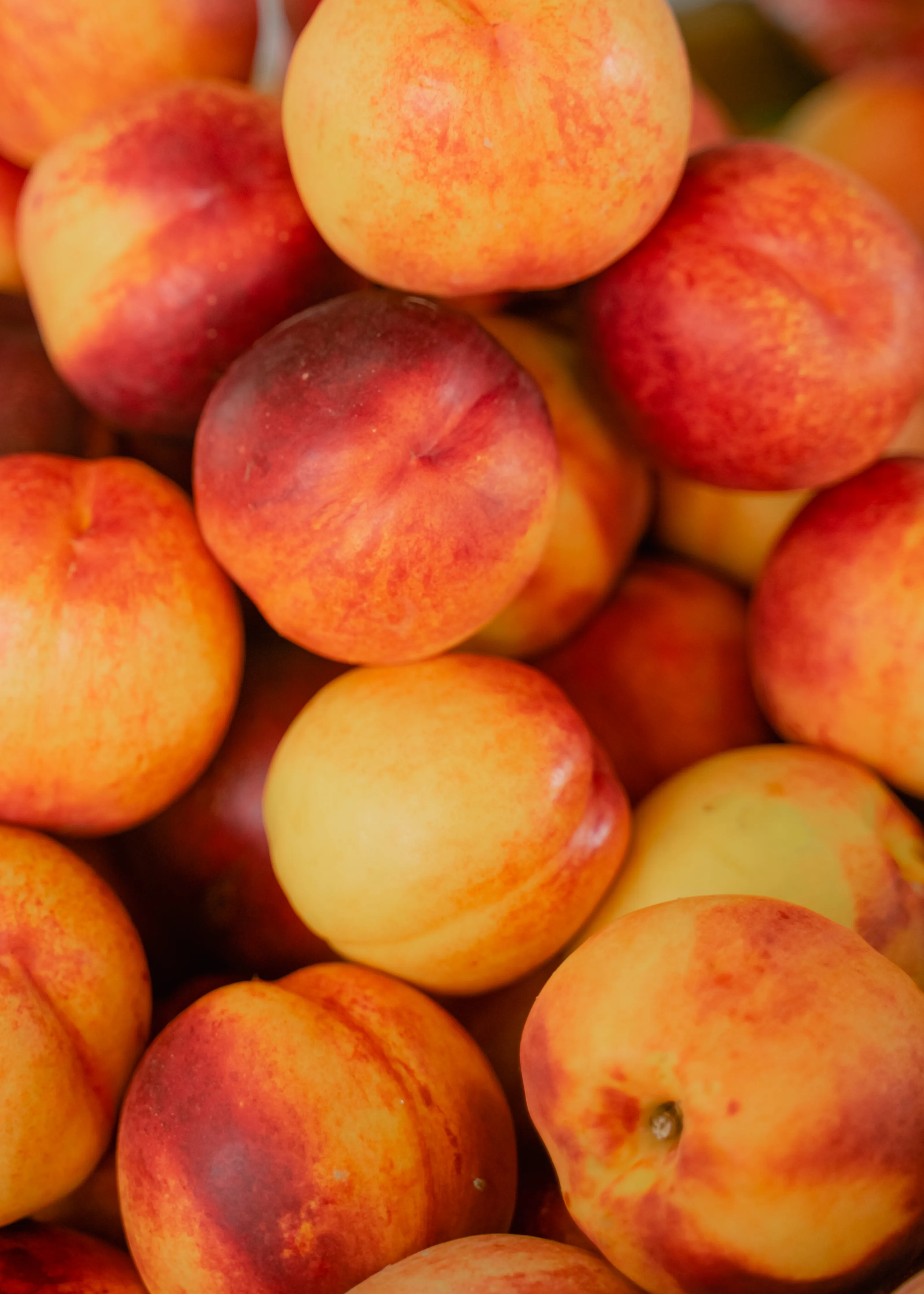 Nectarinas rojas maduras vistas desde arriba, fruta de hueso mayorista de Murcia con piel lisa y pulpa firme para mercados internacionales premium