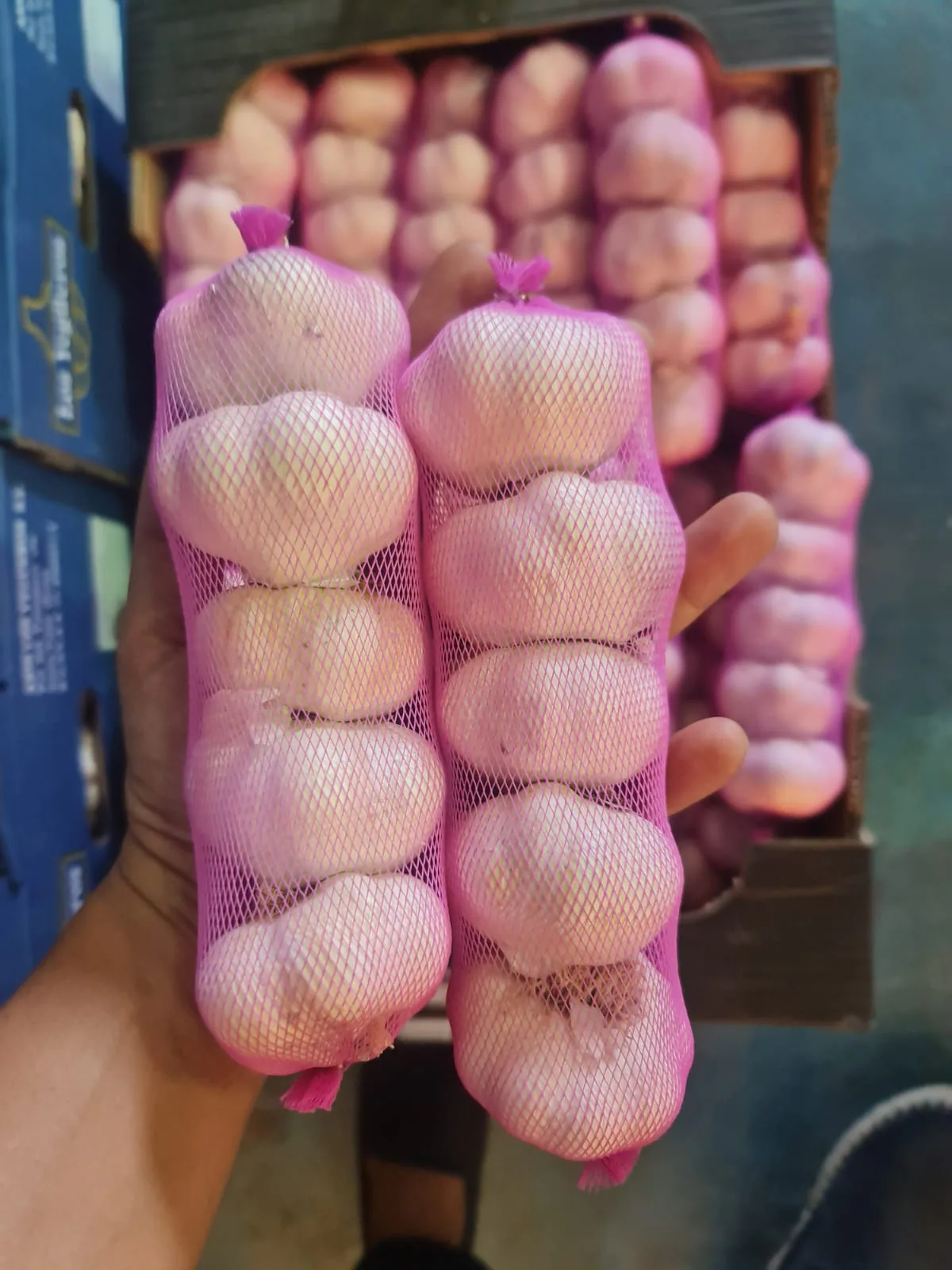 Cabezas de ajo seco agrupadas en sacos de malla