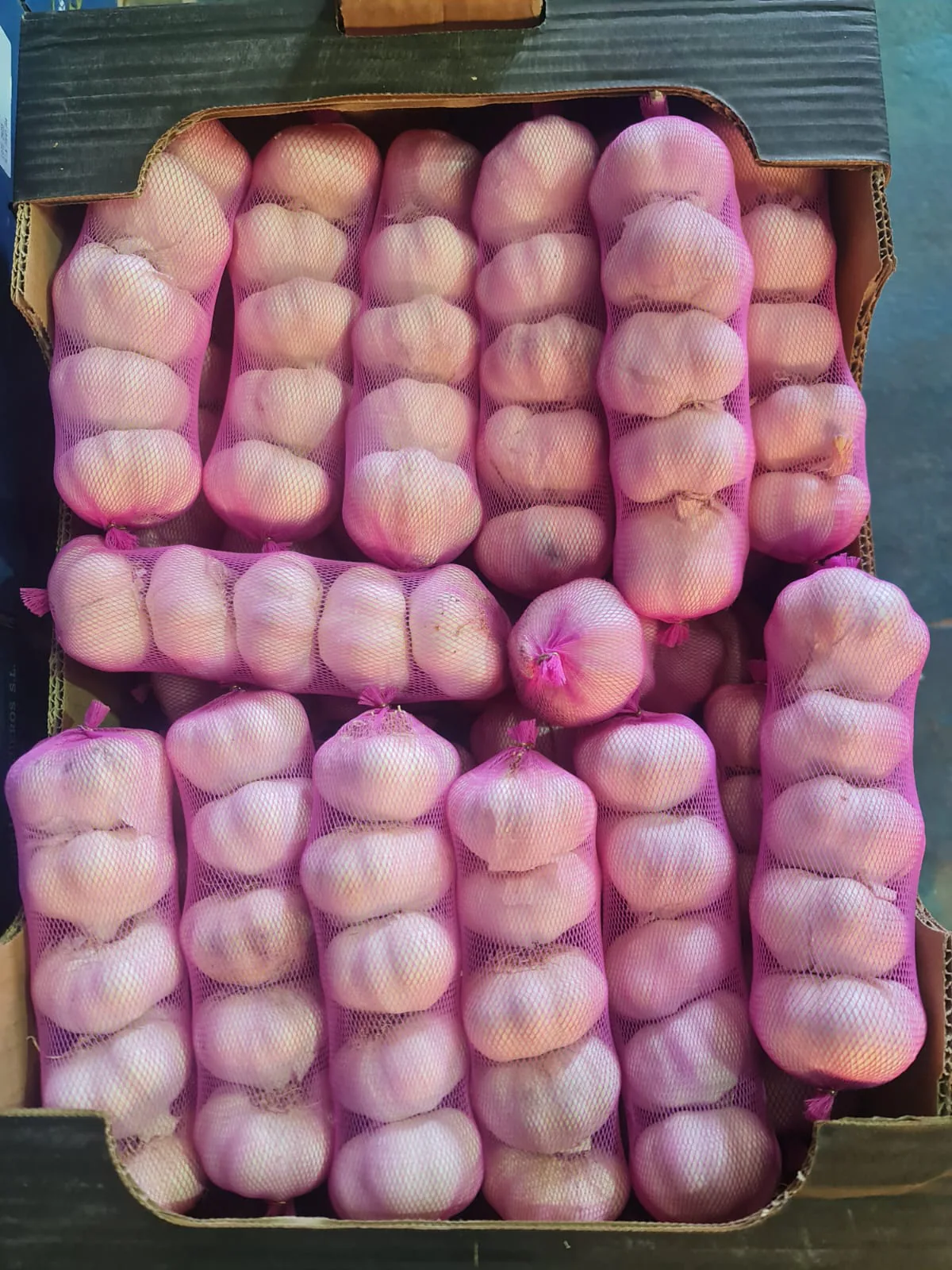 Cabezas de ajo seco listas para distribución en malla