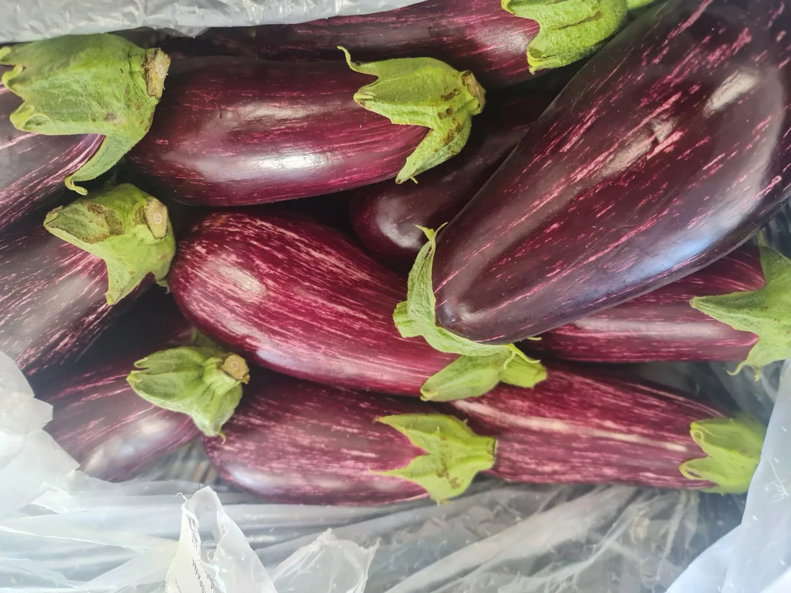 Berenjenas listadas moradas y blancas en caja