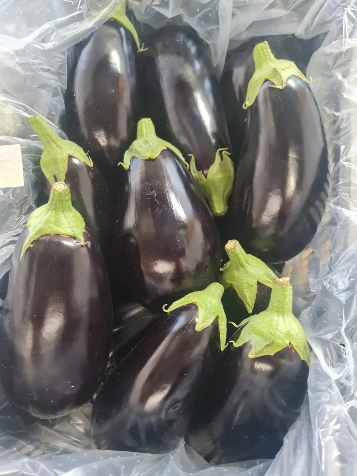 Berenjenas negras frescas de piel brillante en caja