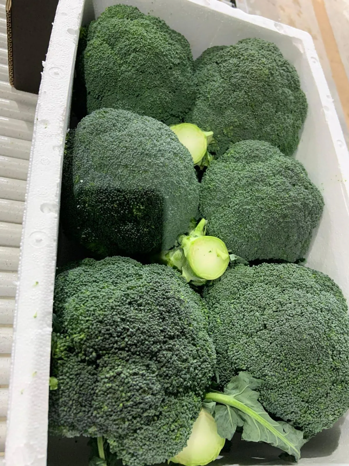 Pellas compactas de brócoli fresco en caja