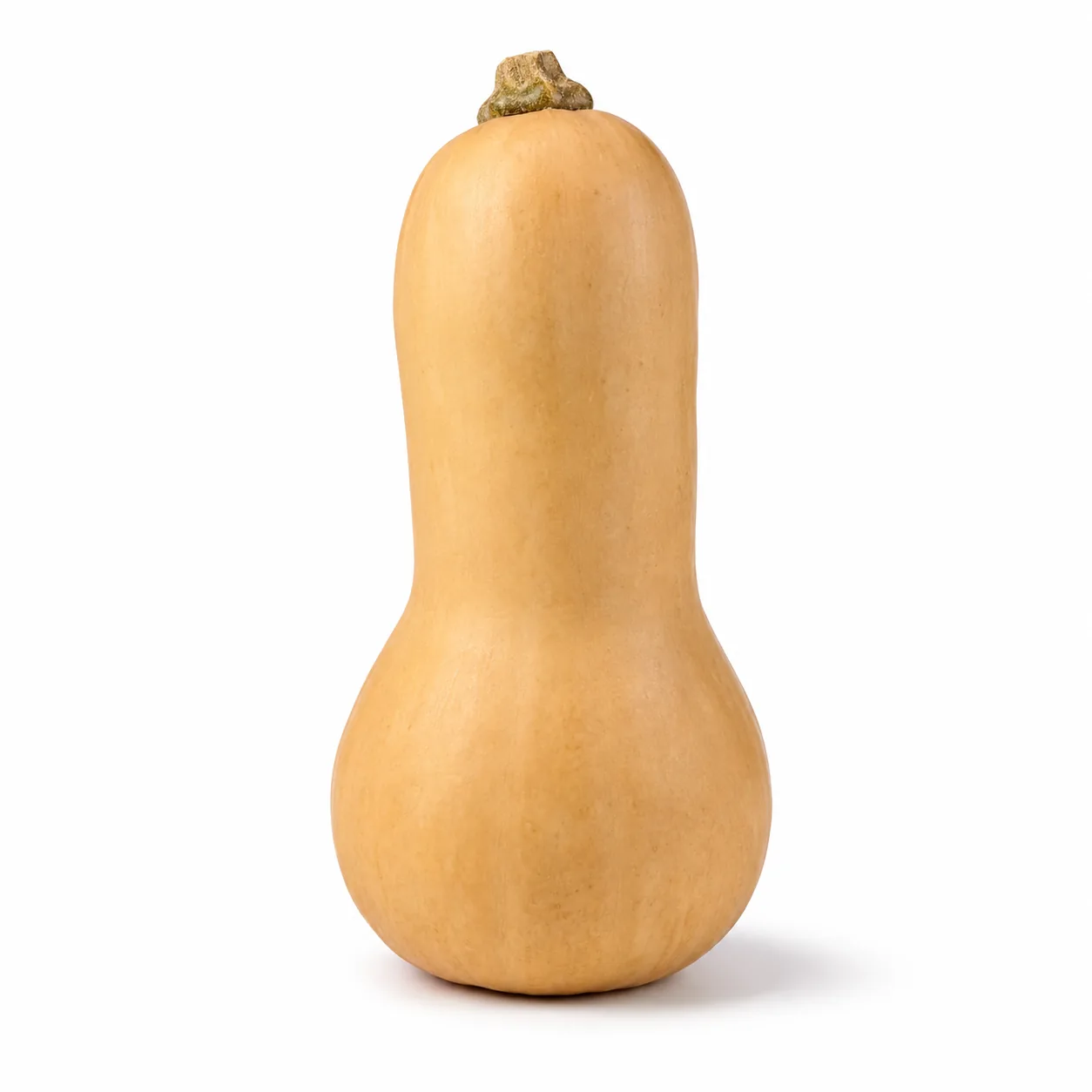 Calabaza Butternut entera de piel beige sobre fondo blanco