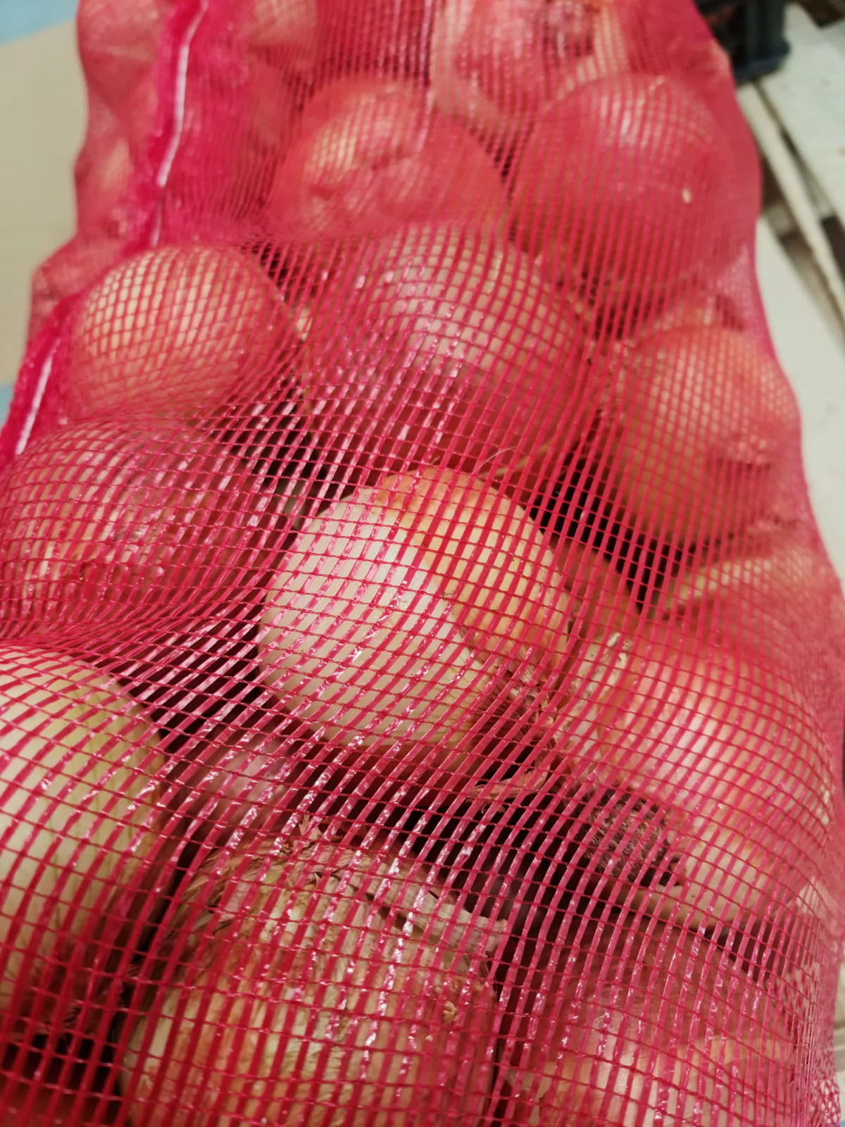 Cebollas rojas frescas en sacos de malla