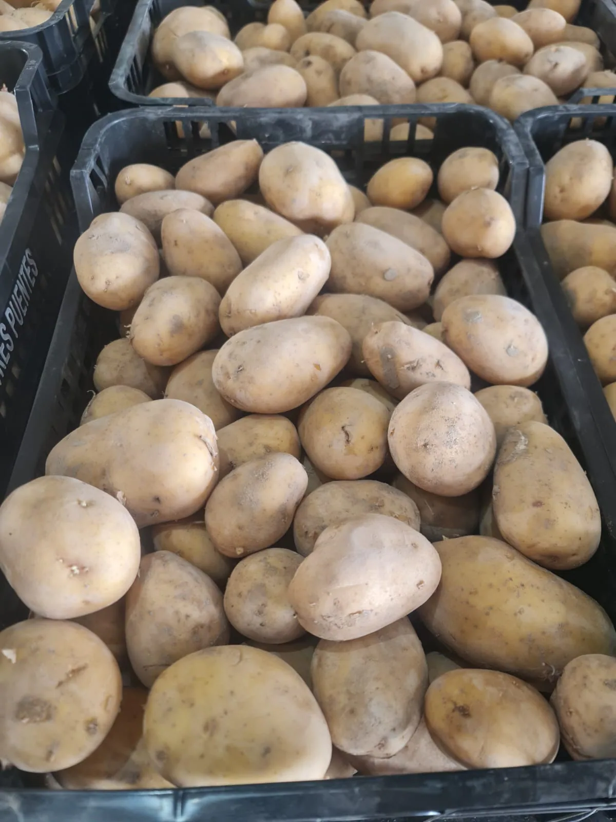 Patatas lavadas preparadas en una caja de expedición
