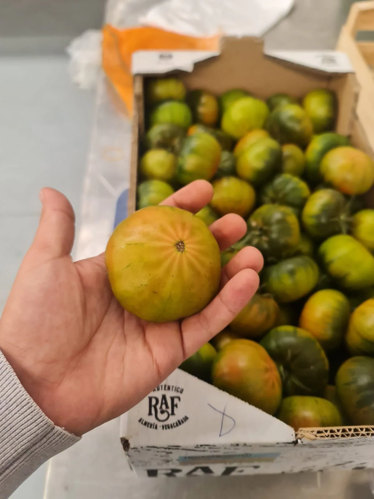Tomate Marmande revisado a mano junto a su caja