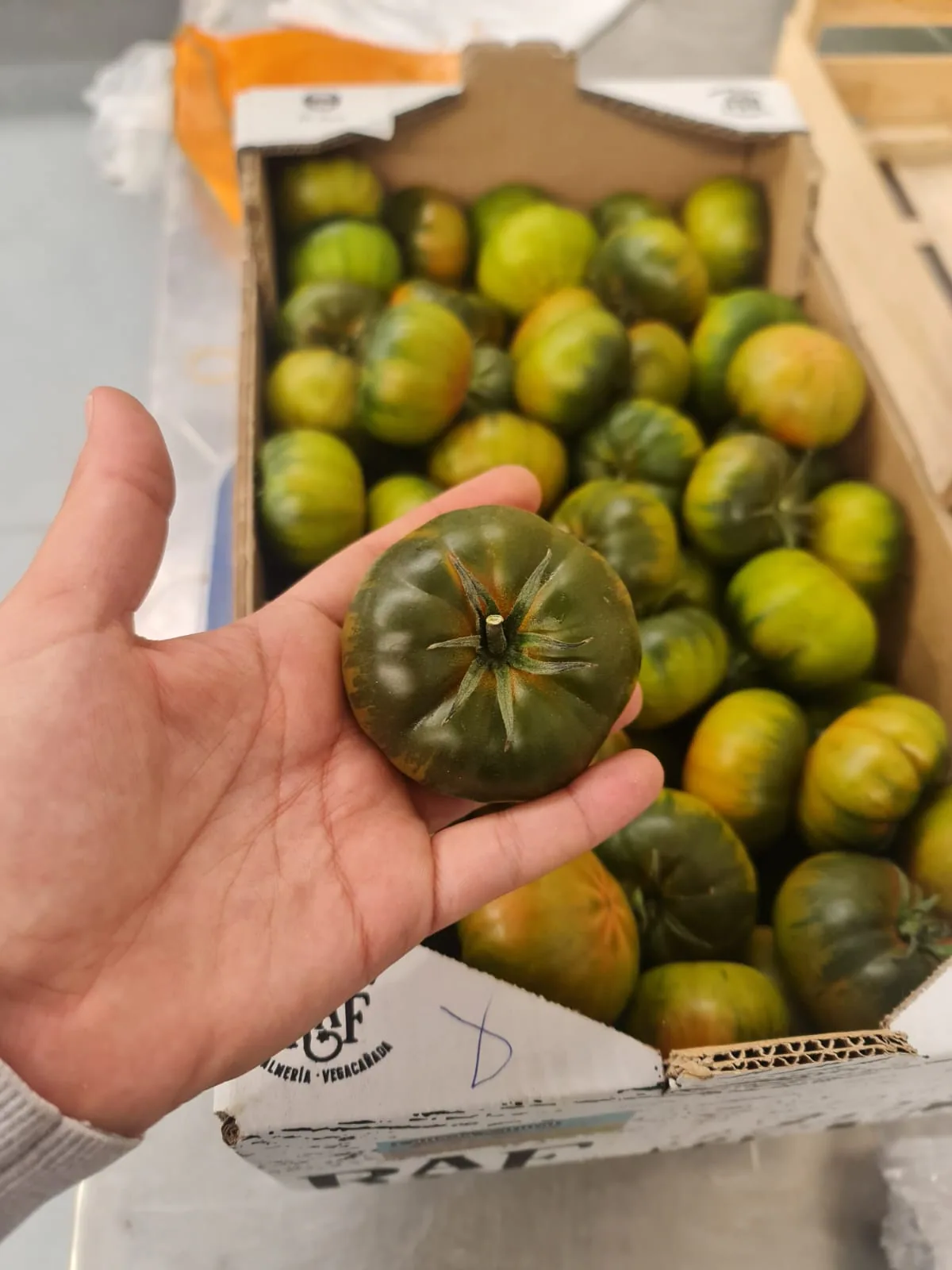 Tomates Marmande revisados junto a su caja de cartón