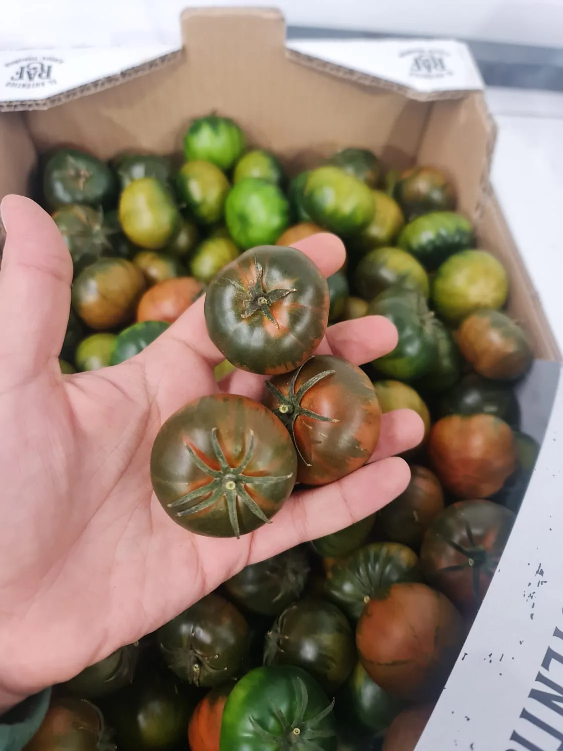 Tomates Marmande dispuestos en caja de cartón
