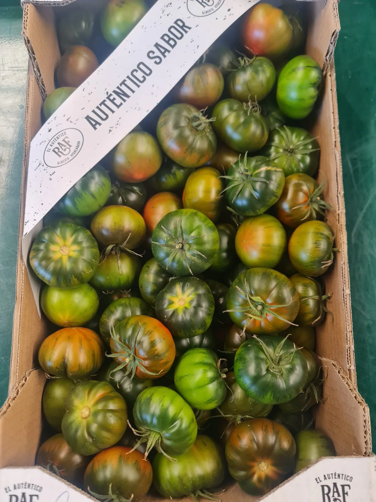 Tomates Marmande frescos en caja de expedición