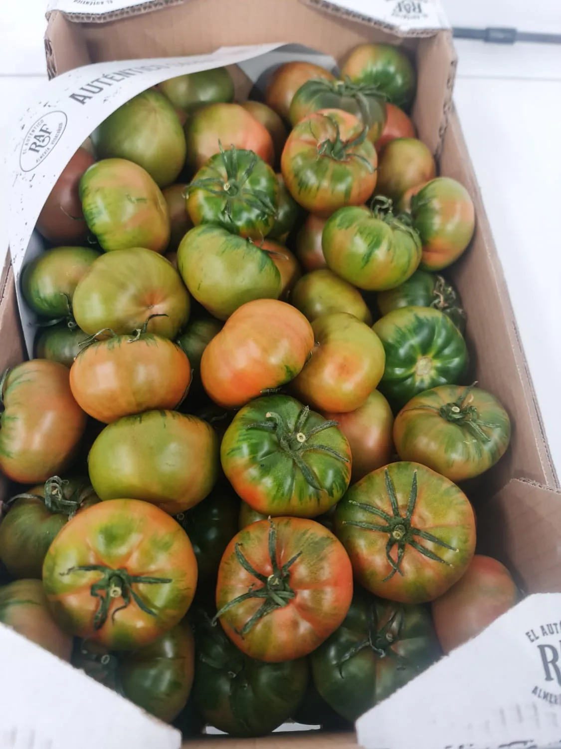 Tomates Marmande seleccionados en caja de cartón