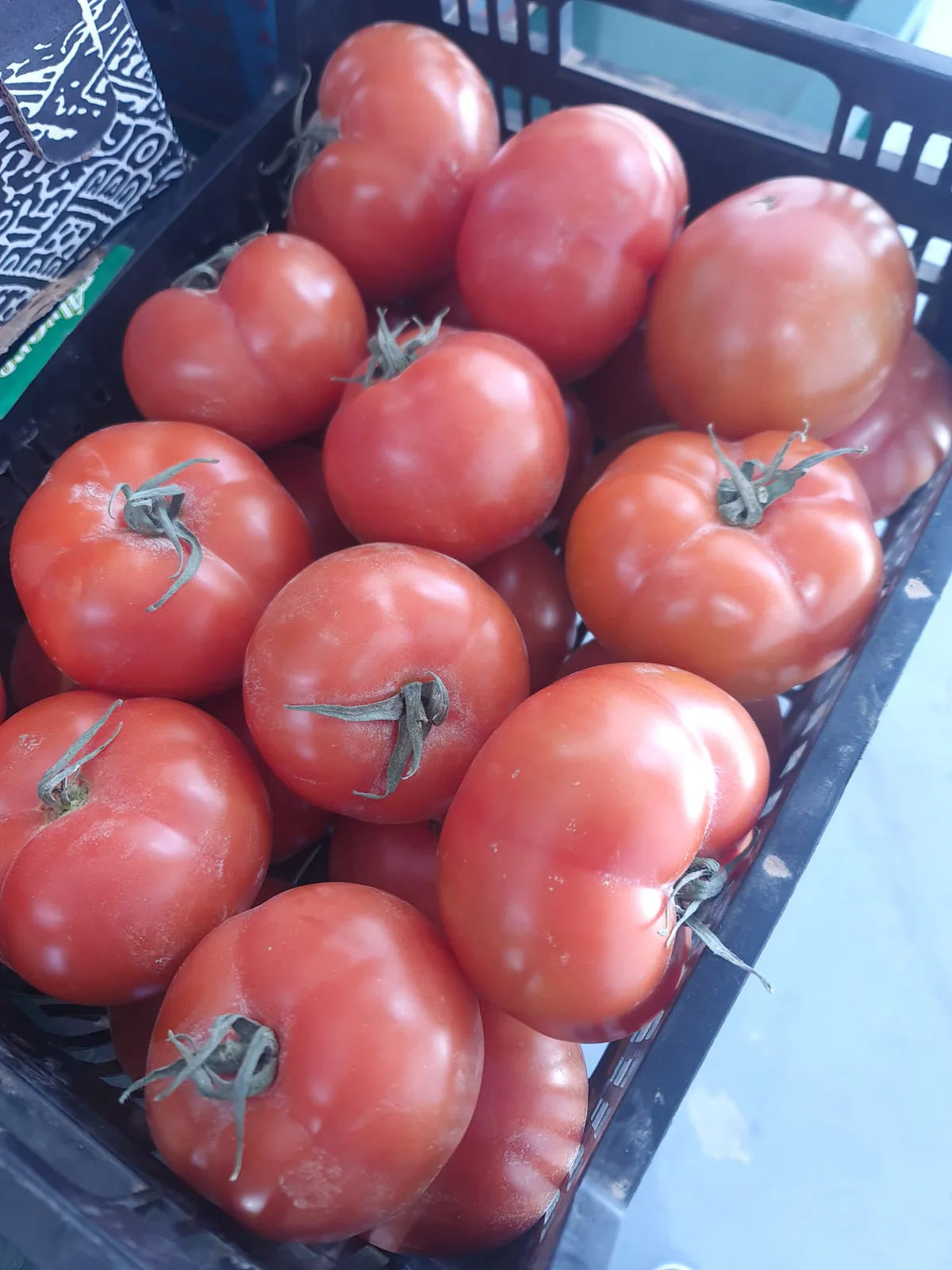 Tomates rojos frescos seleccionados en caja