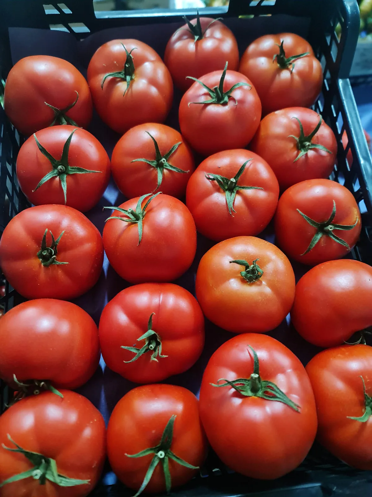 Tomates rojos frescos preparados en caja