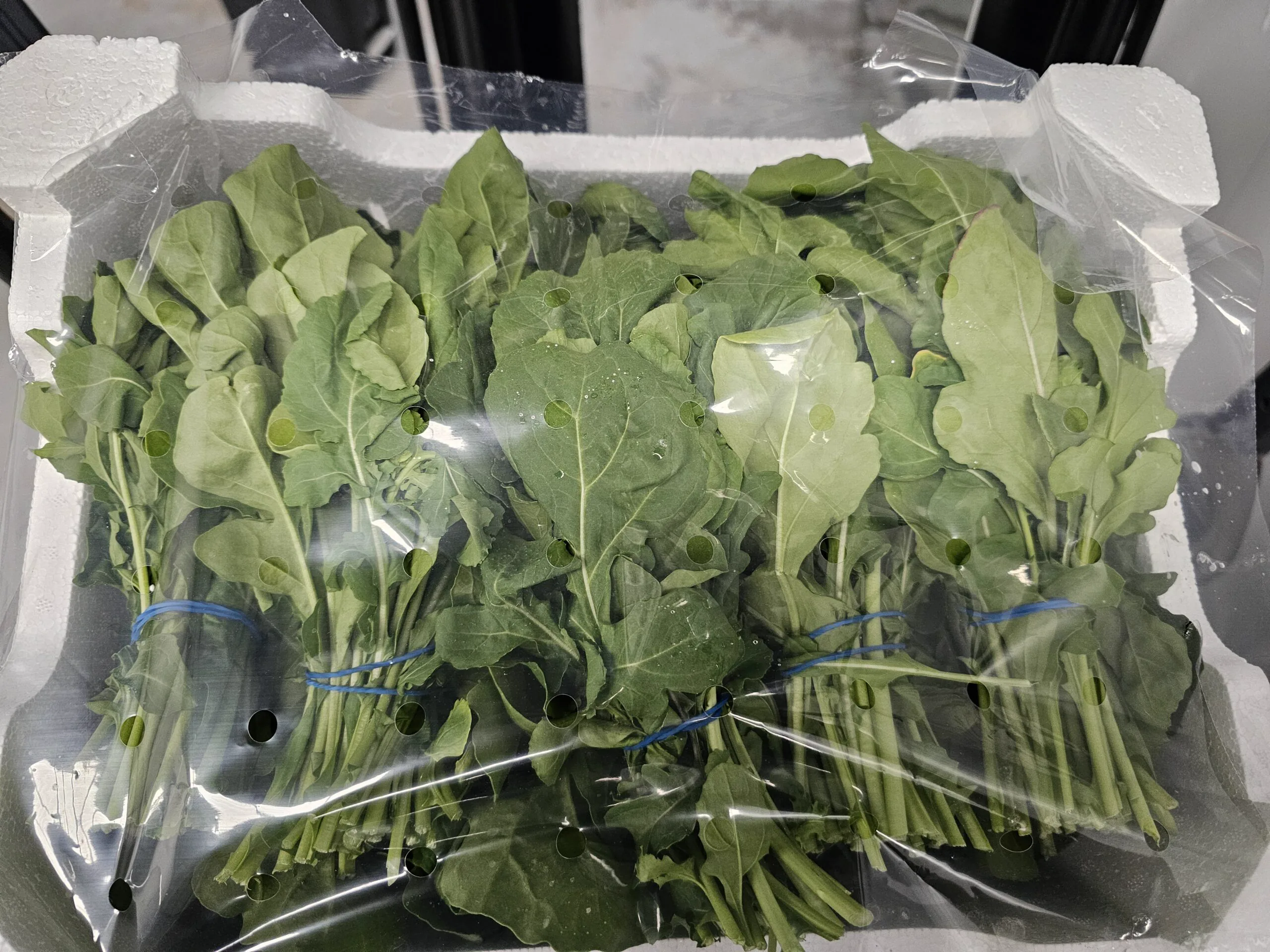 Selección de verdura de hoja verde