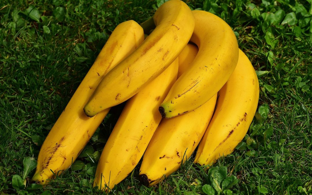 ¿A qué se debe la forma de los plátanos?