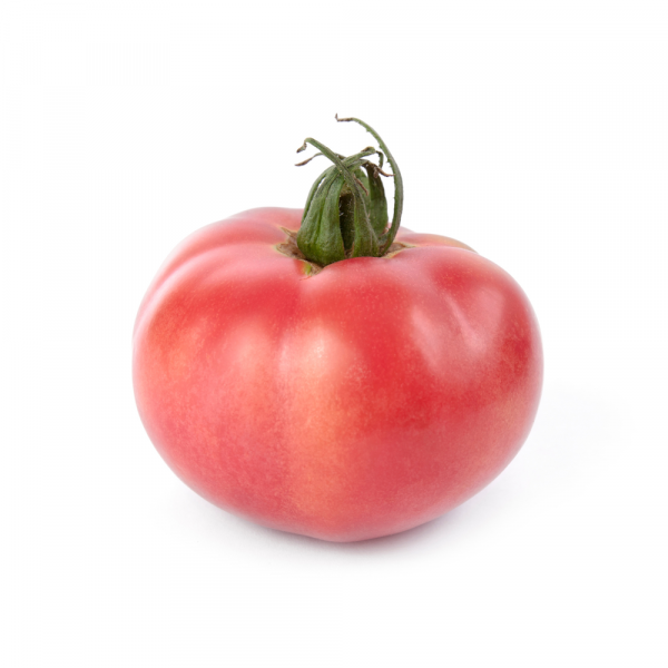 tomate rosa liso