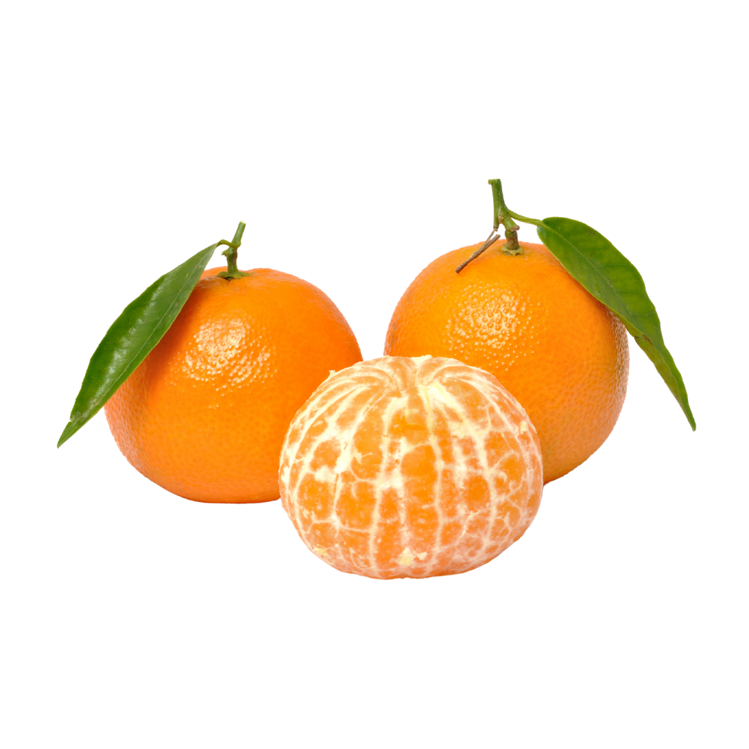 clementina o mandarina